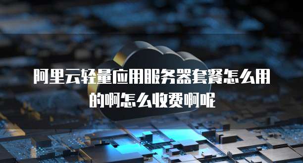 阿里云轻量应用服务器套餐怎么用的啊怎么收费啊呢