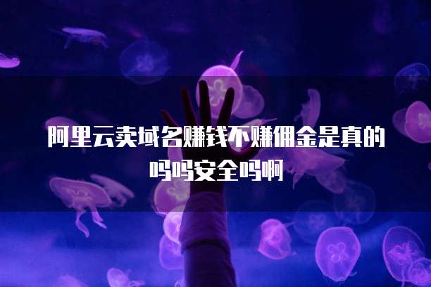 阿里云卖域名赚钱不赚佣金是真的吗吗安全吗啊