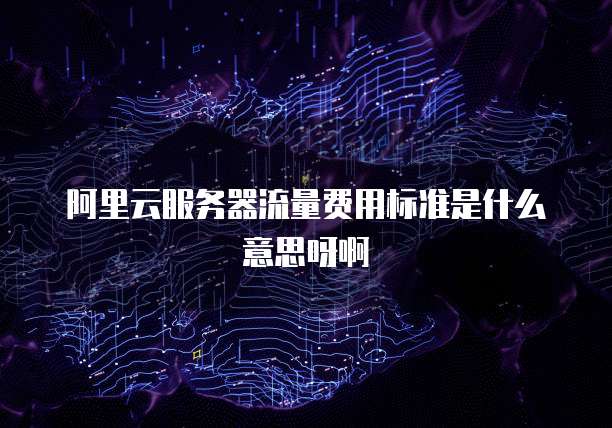 阿里云服务器流量费用标准是什么意思呀啊