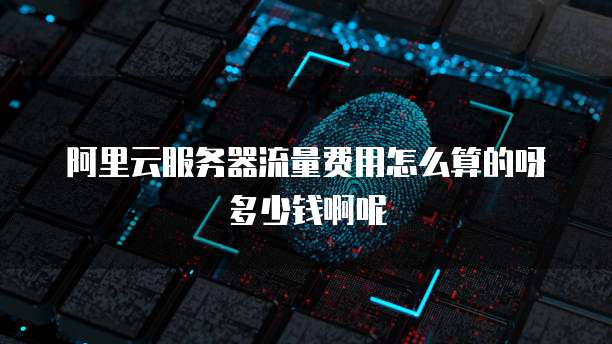 阿里云服务器流量费用怎么算的呀多少钱啊呢
