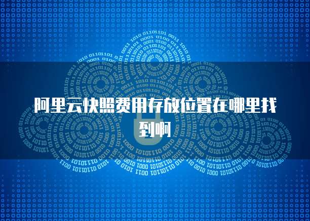 阿里云快照费用存放位置在哪里找到啊