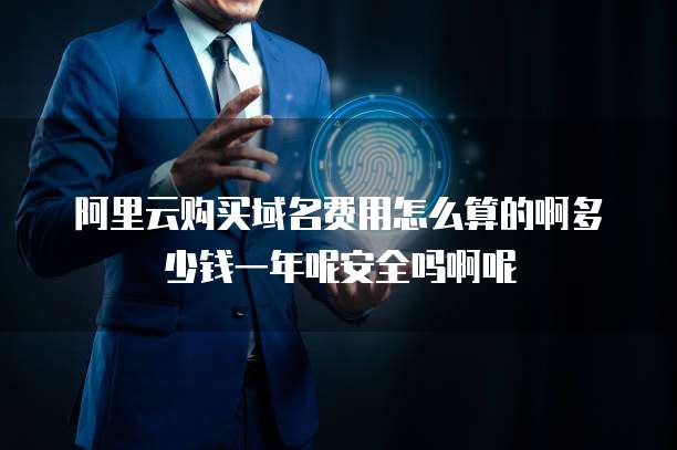 阿里云购买域名费用怎么算的啊多少钱一年呢安全吗啊呢
