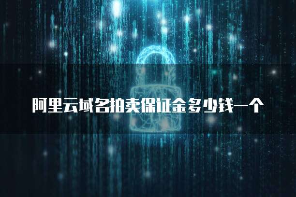 阿里云域名拍卖保证金多少钱一个