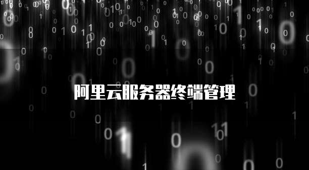 阿里云服务器终端管理