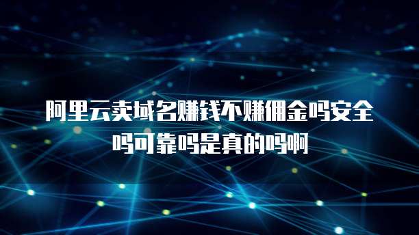 阿里云卖域名赚钱不赚佣金吗安全吗可靠吗是真的吗啊