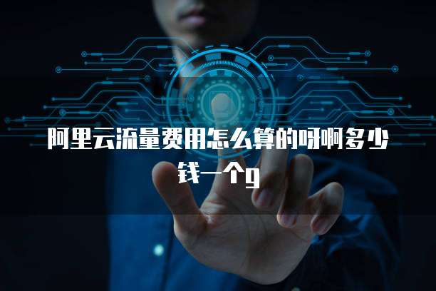 阿里云流量费用怎么算的呀啊多少钱一个g