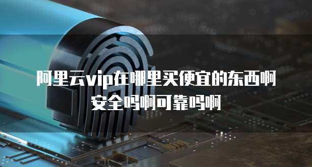 阿里云vip在哪里买便宜的东西啊安全吗啊可靠吗啊