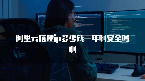 阿里云搭建ip多少钱一年啊安全吗啊
