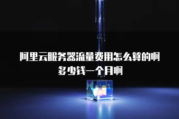 阿里云服务器流量费用怎么算的啊多少钱一个月啊
