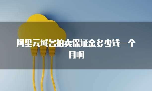 阿里云域名拍卖保证金多少钱一个月啊