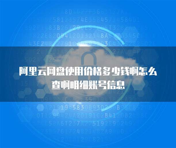 阿里云网盘使用价格多少钱啊怎么查啊明细账号信息