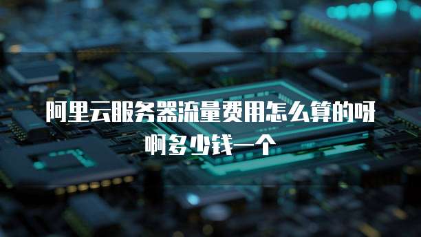 阿里云服务器流量费用怎么算的呀啊多少钱一个