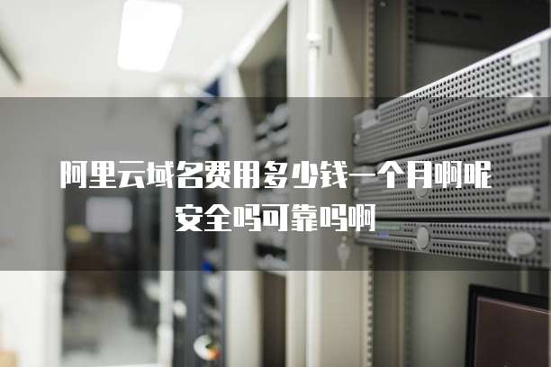阿里云域名费用多少钱一个月啊呢安全吗可靠吗啊