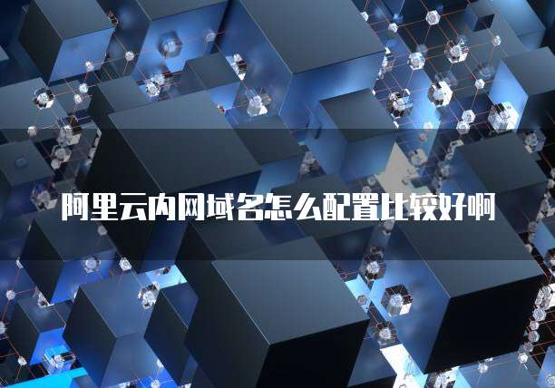 阿里云内网域名怎么配置比较好啊