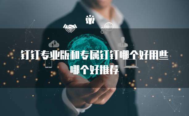 钉钉专业版和专属钉钉哪个好用些哪个好推荐