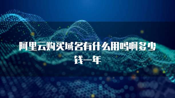 阿里云购买域名有什么用吗啊多少钱一年