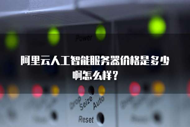 阿里云人工智能服务器价格是多少啊怎么样?