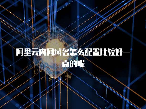 阿里云内网域名怎么配置比较好一点的呢