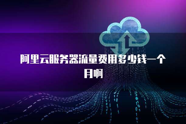 阿里云服务器流量费用多少钱一个月啊