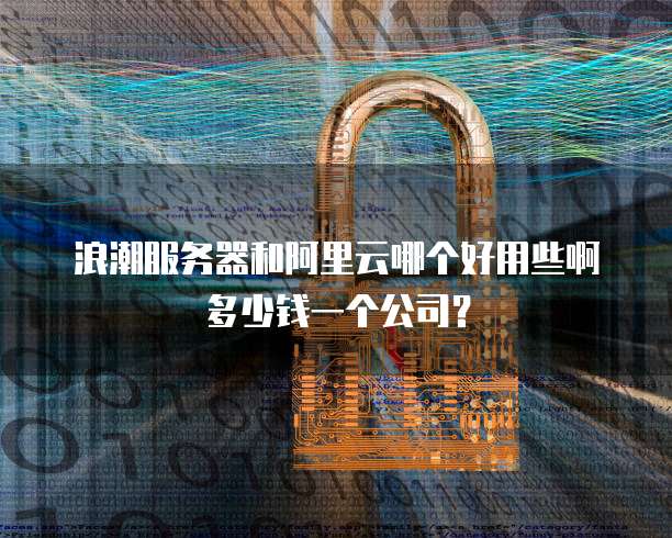 浪潮服务器和阿里云哪个好用些啊多少钱一个公司?