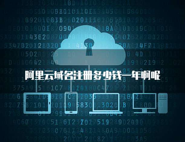 阿里云域名注册多少钱一年啊呢