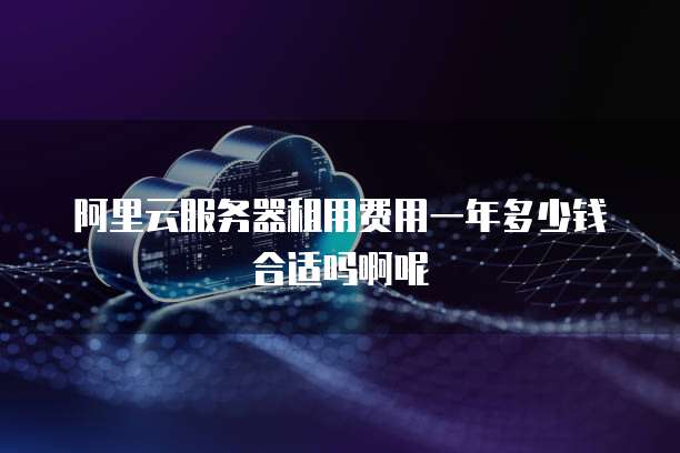 阿里云服务器租用费用一年多少钱合适吗啊呢