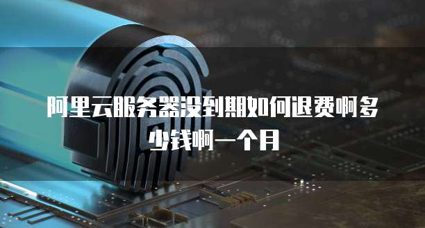 阿里云服务器没到期如何退费啊多少钱啊一个月