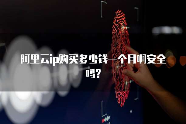 阿里云ip购买多少钱一个月啊安全吗?