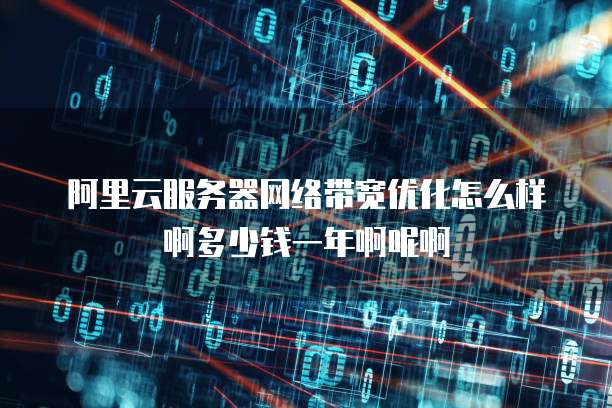 阿里云服务器网络带宽优化怎么样啊多少钱一年啊呢啊