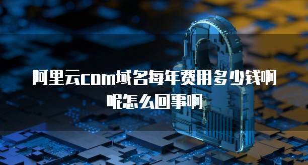 阿里云com域名每年费用多少钱啊呢怎么回事啊