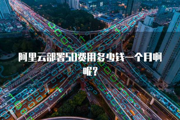 阿里云部署SD费用多少钱一个月啊呢?