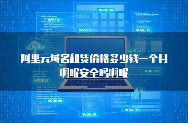 阿里云域名租赁价格多少钱一个月啊呢安全吗啊呢