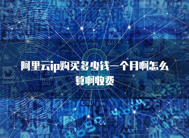 阿里云ip购买多少钱一个月啊怎么算啊收费