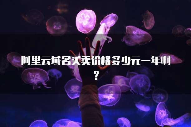 阿里云域名买卖价格多少元一年啊?