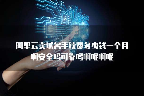 阿里云卖域名手续费多少钱一个月啊安全吗可靠吗啊呢啊呢