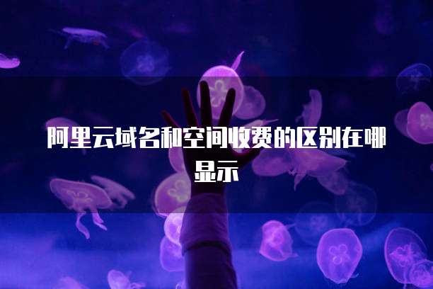 阿里云域名和空间收费的区别在哪显示