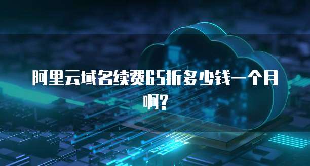 阿里云域名续费65折多少钱一个月啊?