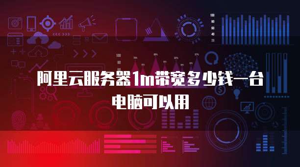 阿里云服务器1m带宽多少钱一台电脑可以用