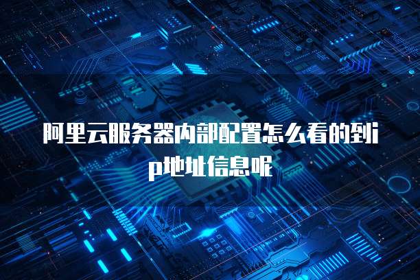 阿里云服务器内部配置怎么看的到ip地址信息呢
