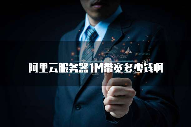 阿里云服务器1M带宽多少钱啊
