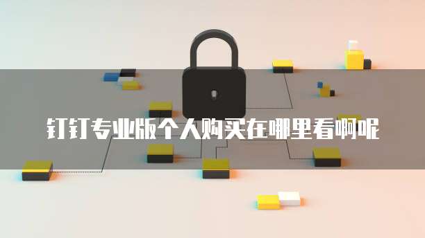 钉钉专业版个人购买在哪里看啊呢