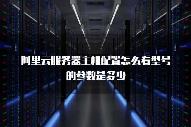 阿里云服务器主机配置怎么看型号的参数是多少