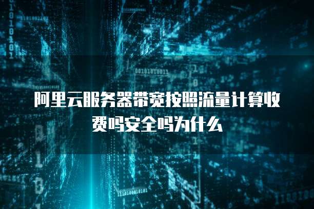 阿里云服务器带宽按照流量计算收费吗安全吗为什么