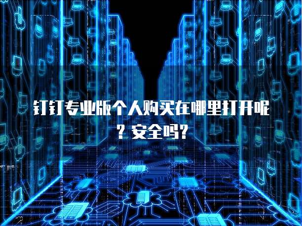 钉钉专业版个人购买在哪里打开呢?安全吗?