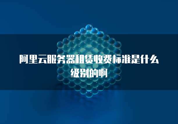 阿里云服务器租赁收费标准是什么级别的啊