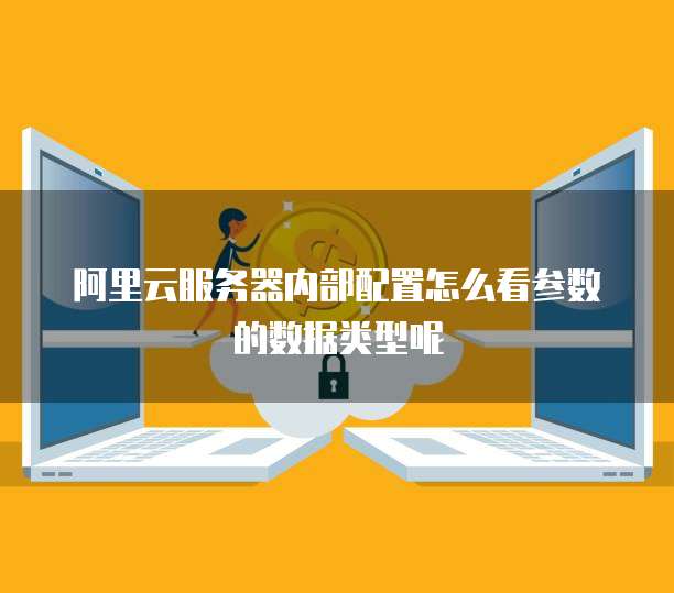 阿里云服务器内部配置怎么看参数的数据类型呢