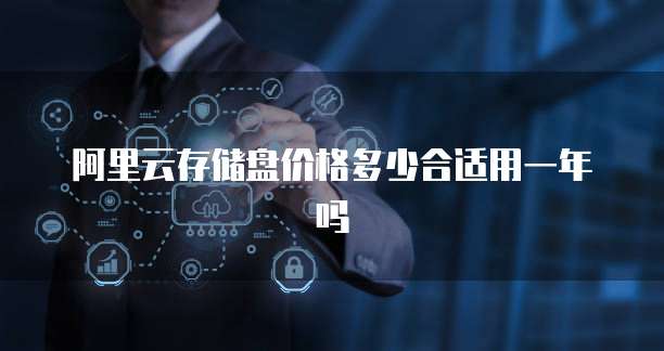 阿里云存储盘价格多少合适用一年吗