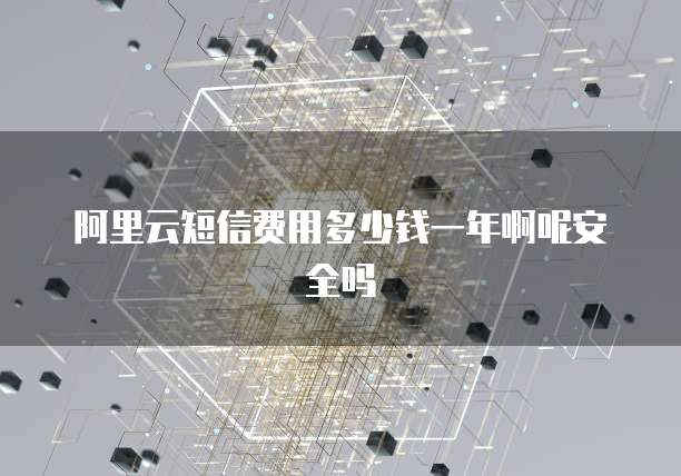 阿里云短信费用多少钱一年啊呢安全吗