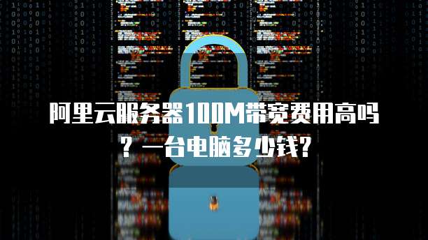 阿里云服务器100M带宽费用高吗？一台电脑多少钱？