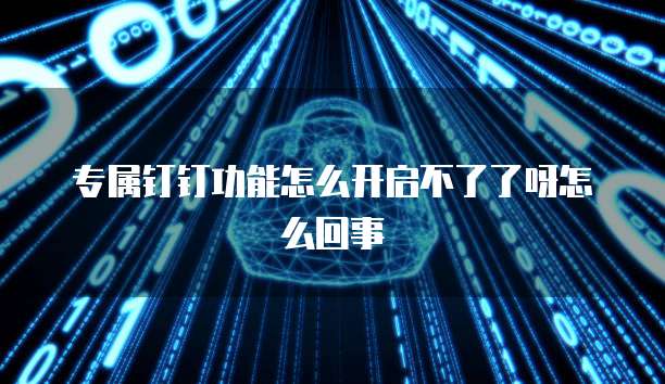专属钉钉功能怎么开启不了了呀怎么回事